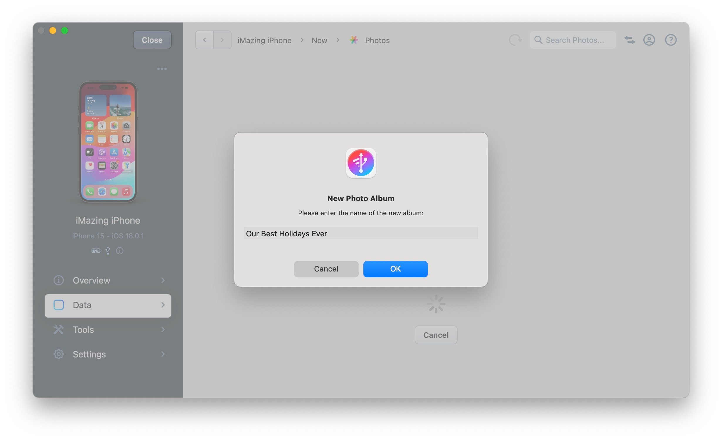 iMazing Photos, Export Options