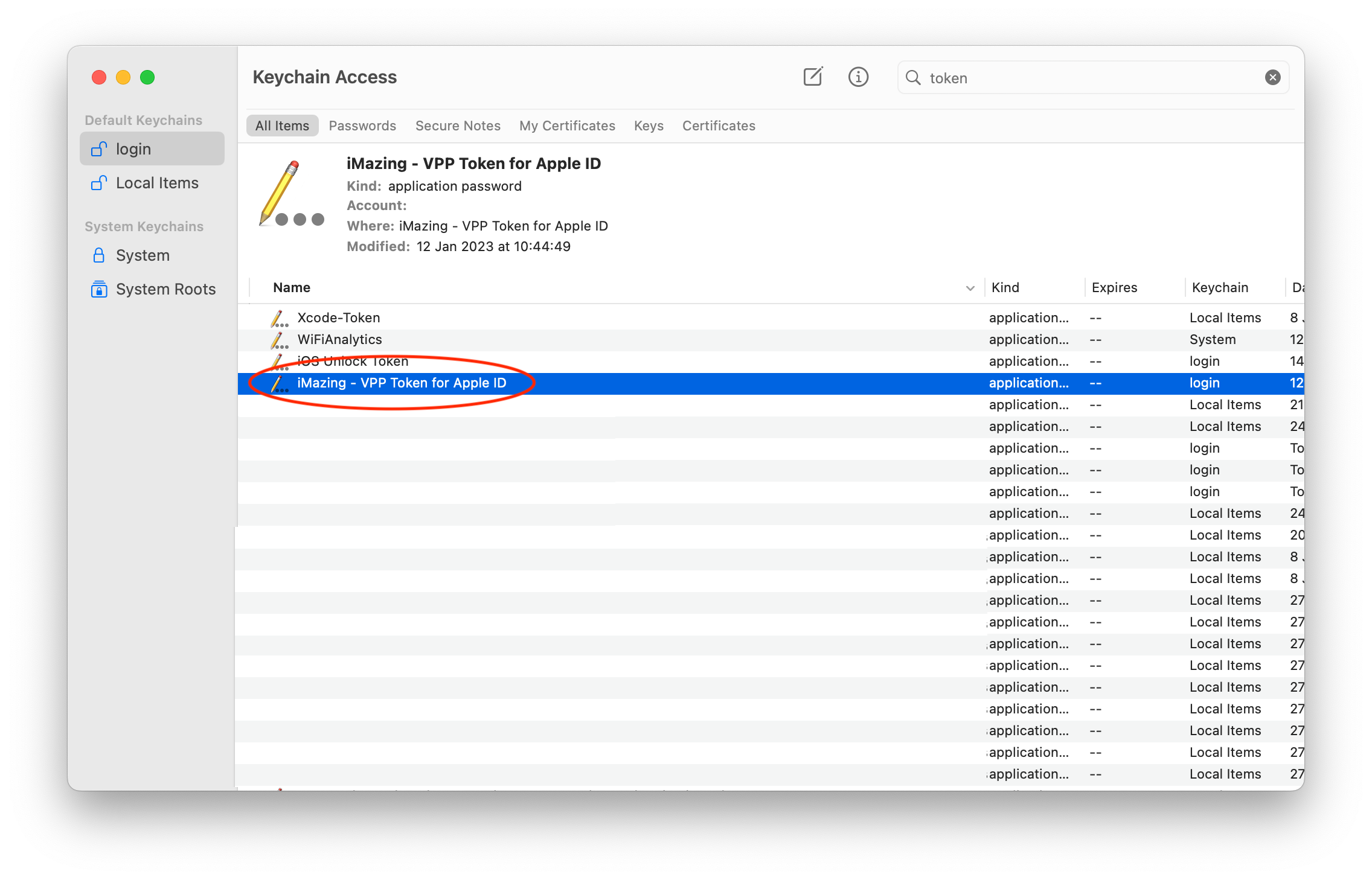Find VPP Token in Keychain