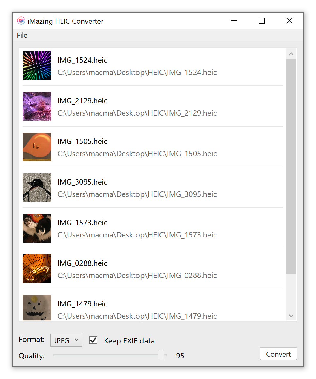 iMazing Converter, Ready to Convert
